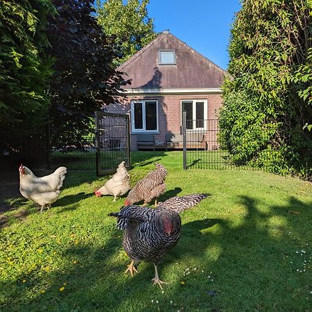 Boutique B&B Villa Van Voss Etten-Leur Eksteriør billede