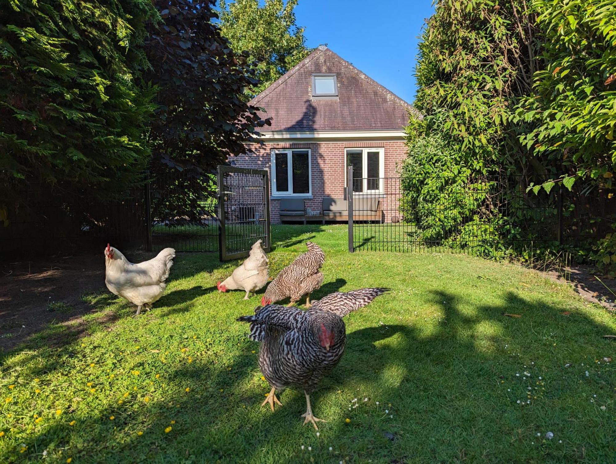 Boutique B&B Villa Van Voss Etten-Leur Eksteriør billede